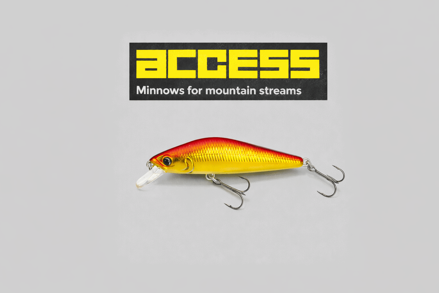ACCESS