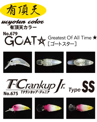 Tクラ・ゴートスター有頂天カラー 画像2